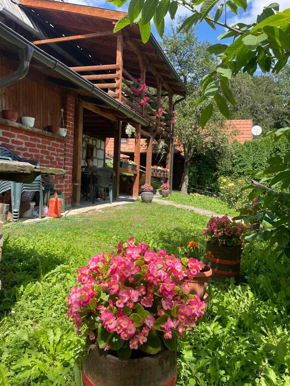 Apartament Dedina Kuca 1937 Mokra Gora Zewnętrze zdjęcie